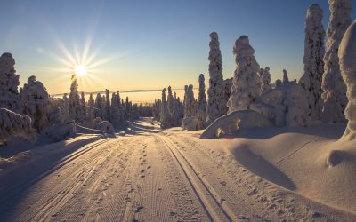 Visiter Rovaniemi, Finlande : Top 10 des choses à faire et à voir