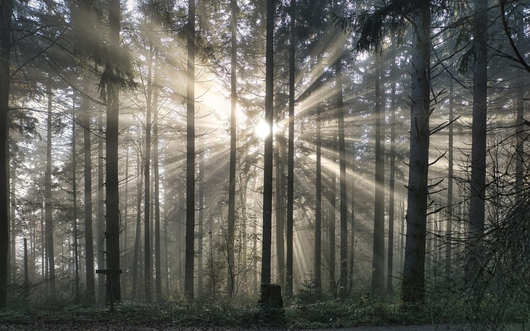 Les lieux les plus mystiques au monde